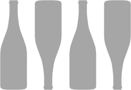 Q4-B yoke
