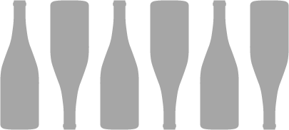 Q6-B yoke